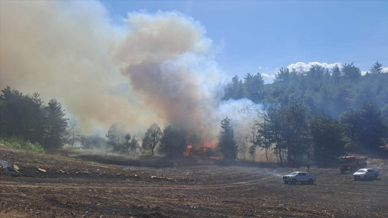 Adana'nın Kozan İlçesinde Orman Yangınına Hızlı Müdahale