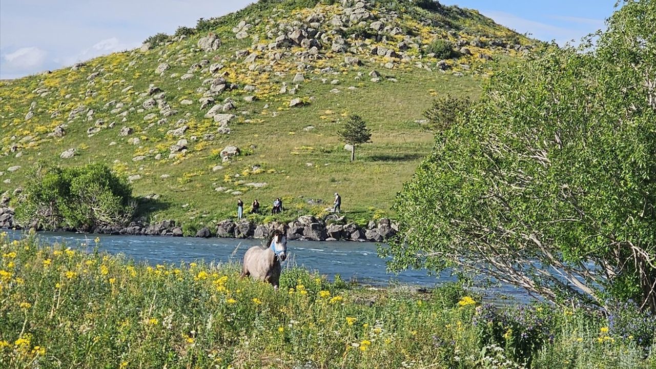 AFAD, Çıldır Gölü'ndeki Mahsur Atı Kurtardı