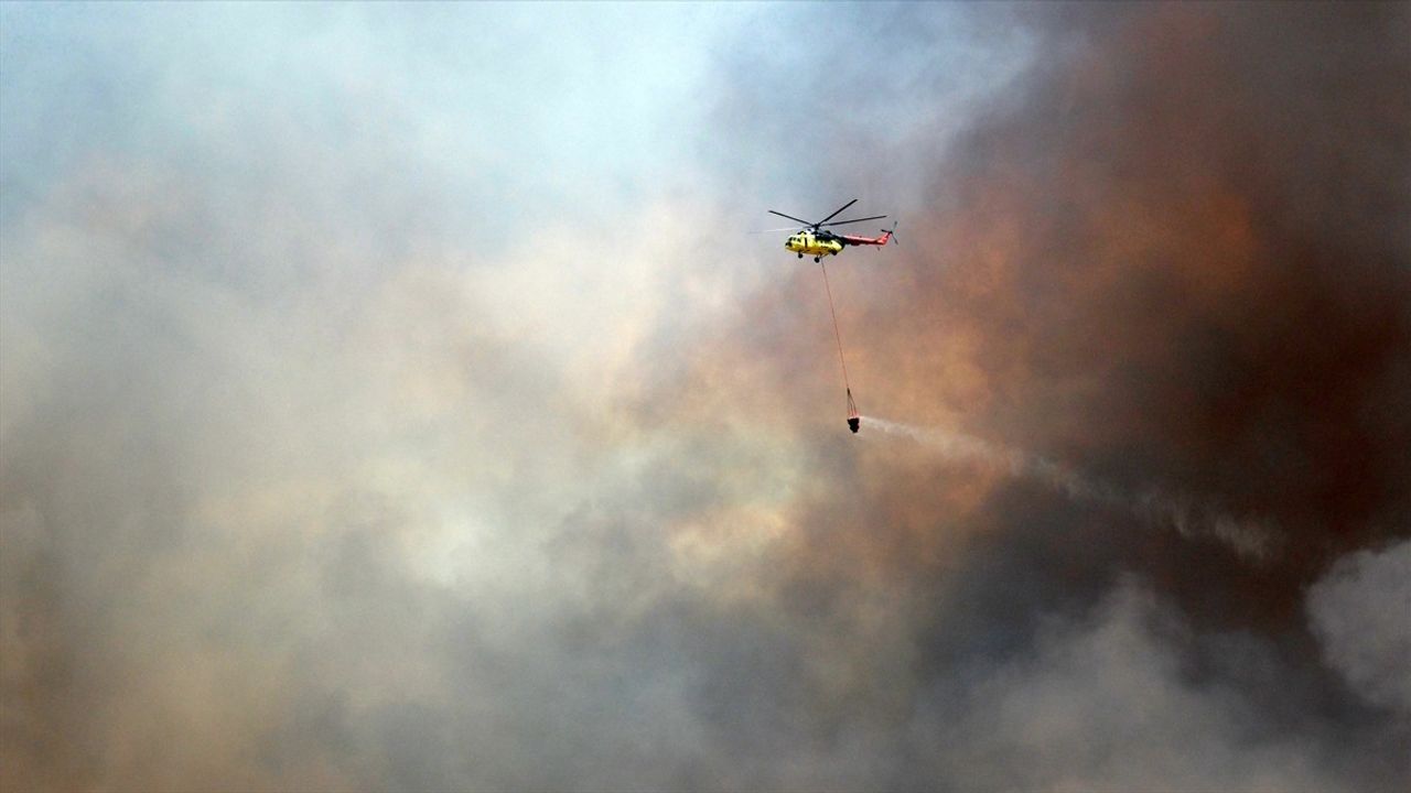 Akhisar'da Orman Yangını Nedeniyle Şüpheli Tutuklandı