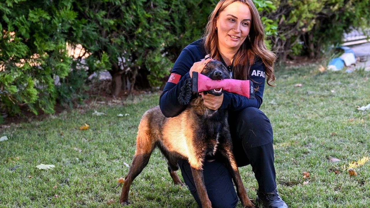 Anadolu Ajansı'nın 'ŞubAAt' Arama Kurtarma Köpeği Oldu