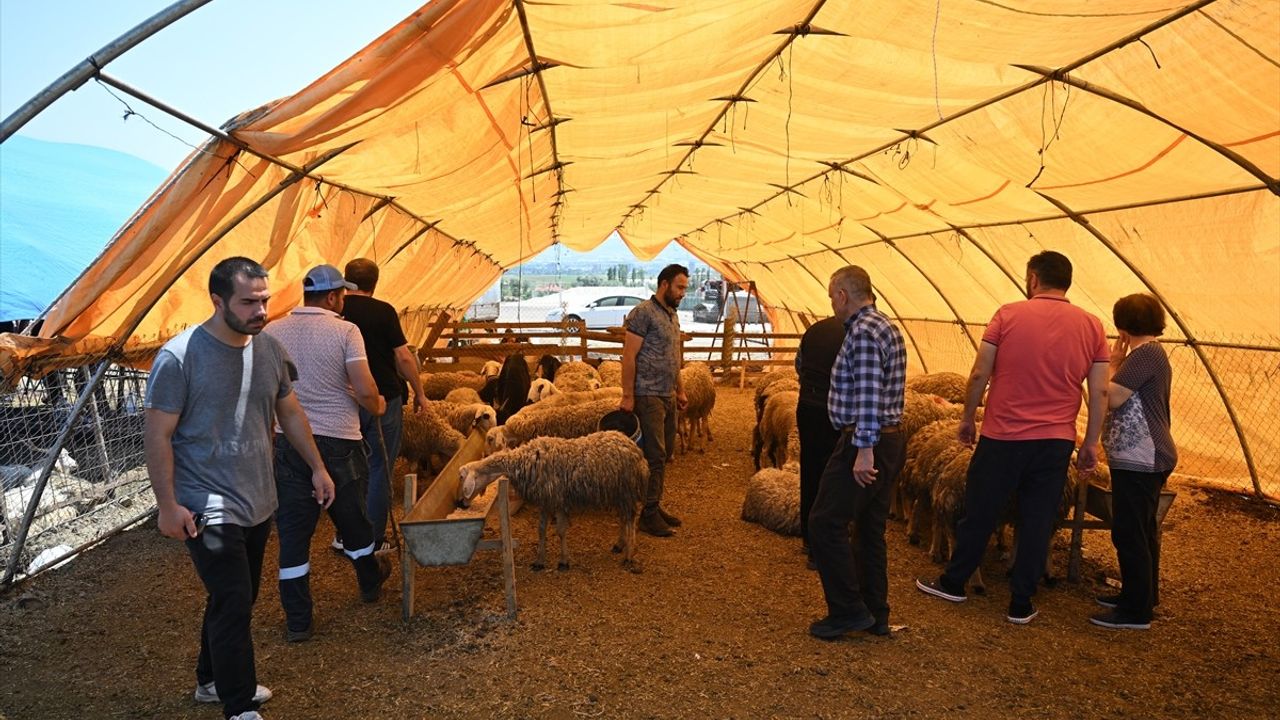 Ankara'da Kurban Bayramı Yoğunluğu İkinci Günde Devam Ediyor