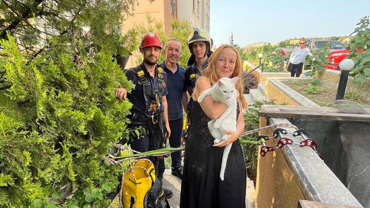Ankara'da Mahsur Kalan Kedi İtfaiye Ekiplerince Kurtarıldı