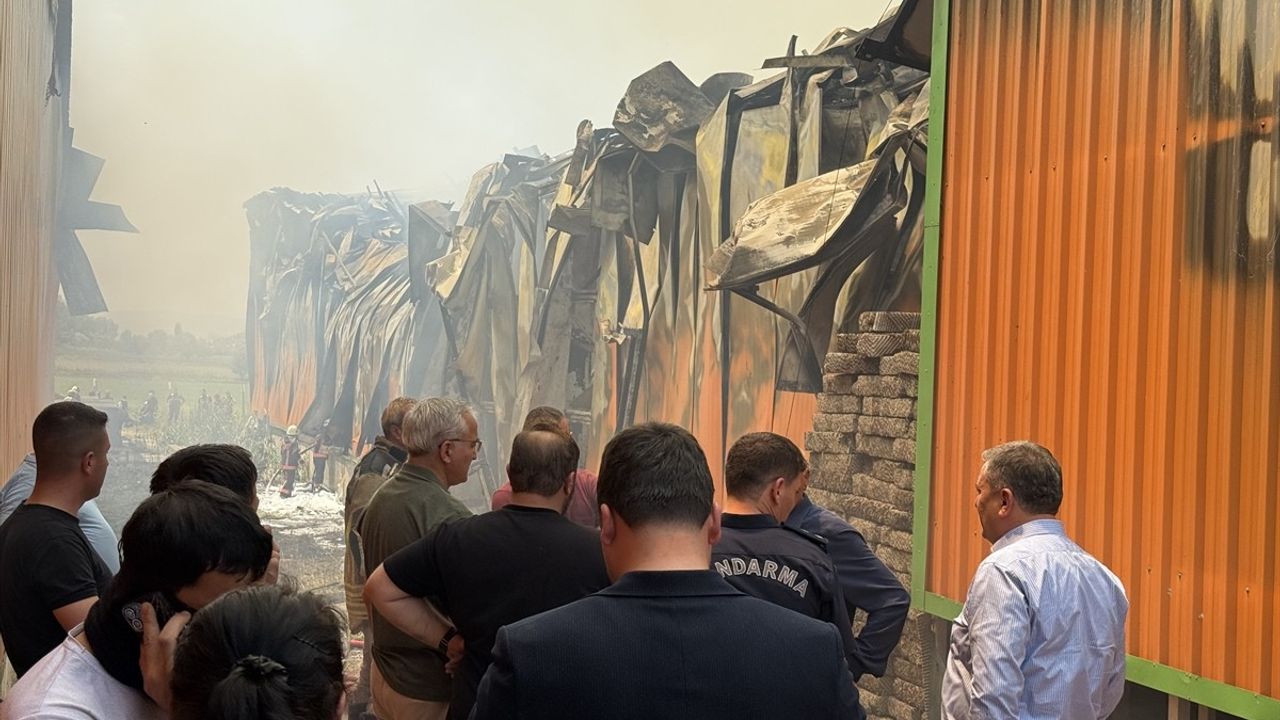 Ankara'da Yumurtalık Tesisinde Yangın: Binlerce Tavuk Telef Oldu