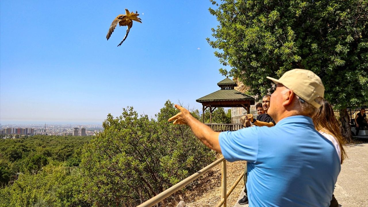 Antalya'da 7 Kerkenez Doğaya Salındı
