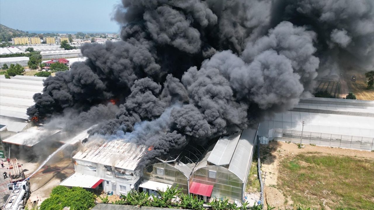 Antalya'da Fide Üretim Tesisinde Yangın Kontrol Altına Alındı