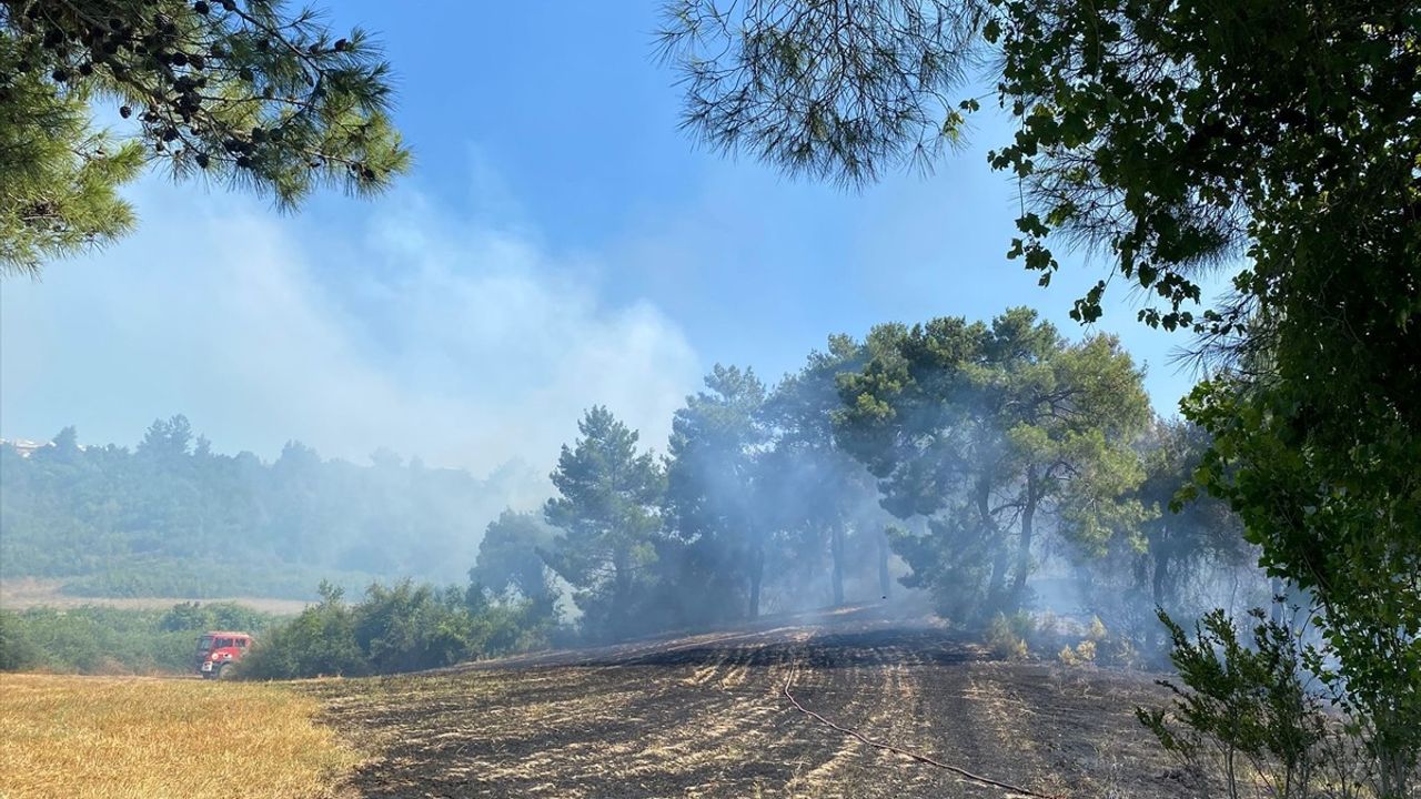 Antalya'da Orman Yangını Kontrol Altına Alındı