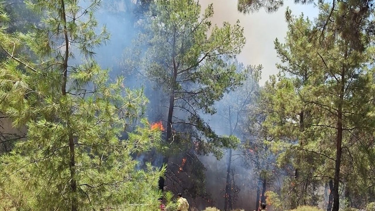 Antalya'da Orman Yangınına Hızlı Müdahale