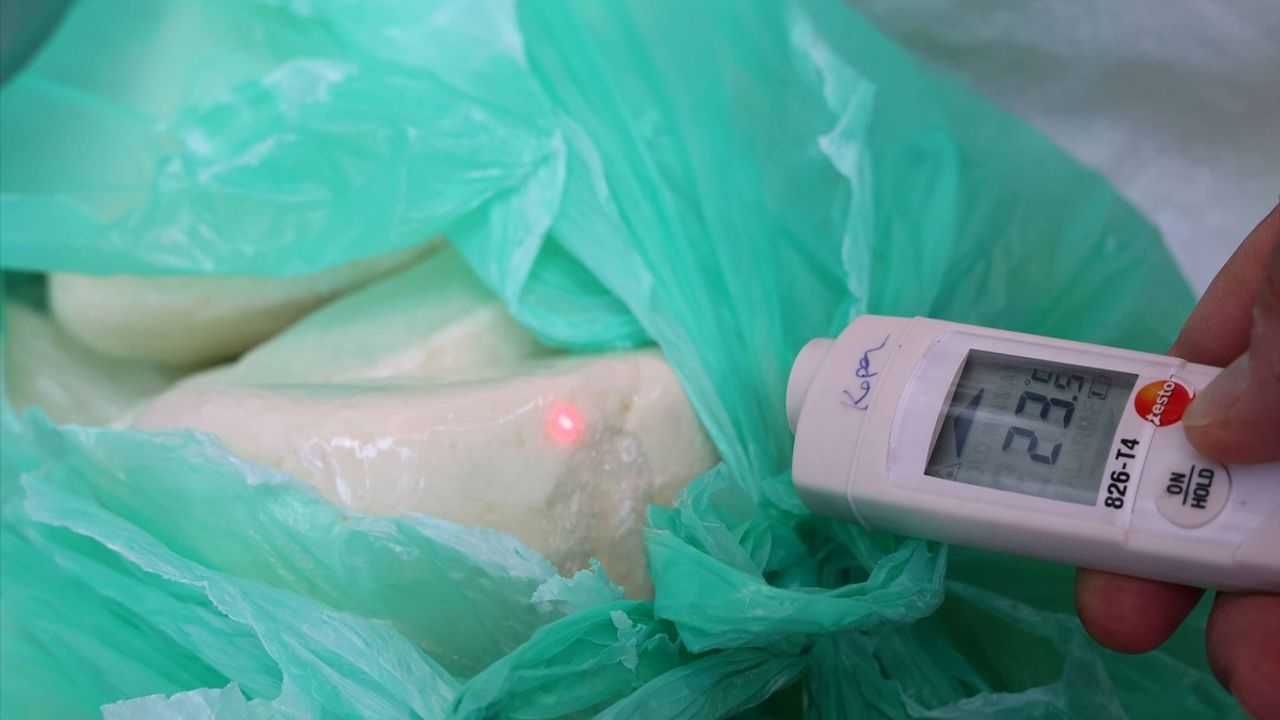 Antalya'da Taşınan 700 Kilogram Sağlıksız Peynir Ele Geçirildi