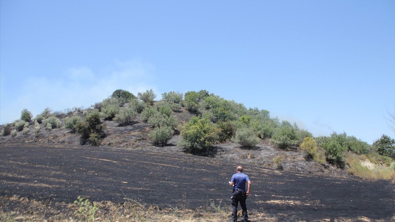 Antalya'daki Anız ve Zeytinlik Yangını Kontrol Altına Alındı
