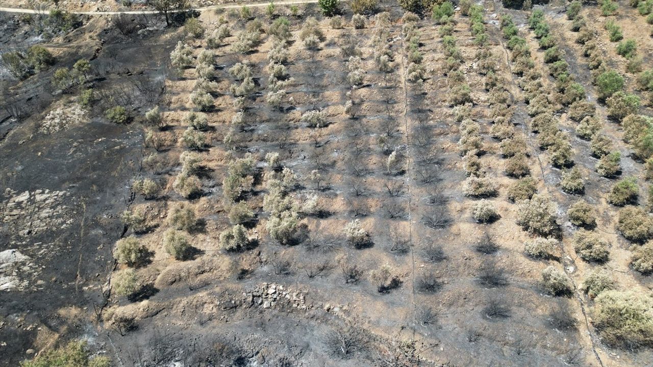 Antalya Gazipaşa'daki Orman Yangını Kontrol Altına Alındı