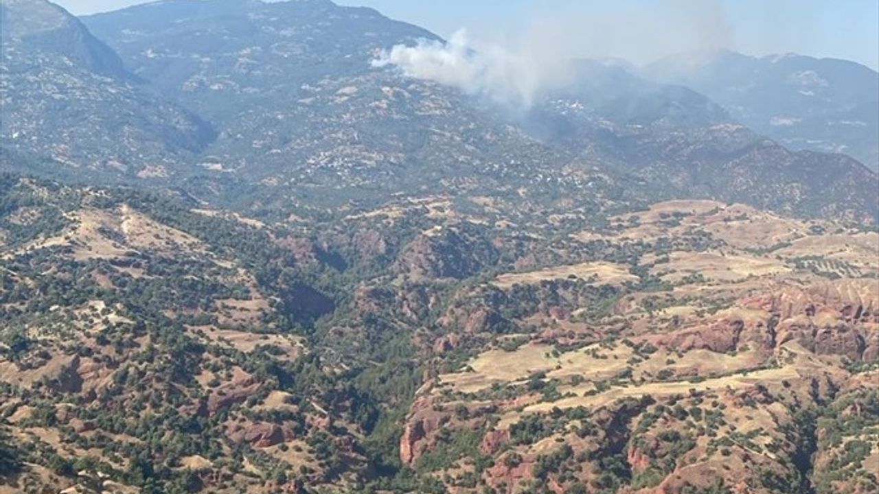 Aydın Bozdoğan'daki Yangın Kontrol Altına Alındı