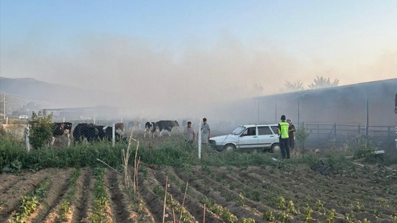 Aydın'da Çiftlik Yangını: 4 Hayvan Telef Oldu, 150 Ton Saman Yanarak Küle Döndü