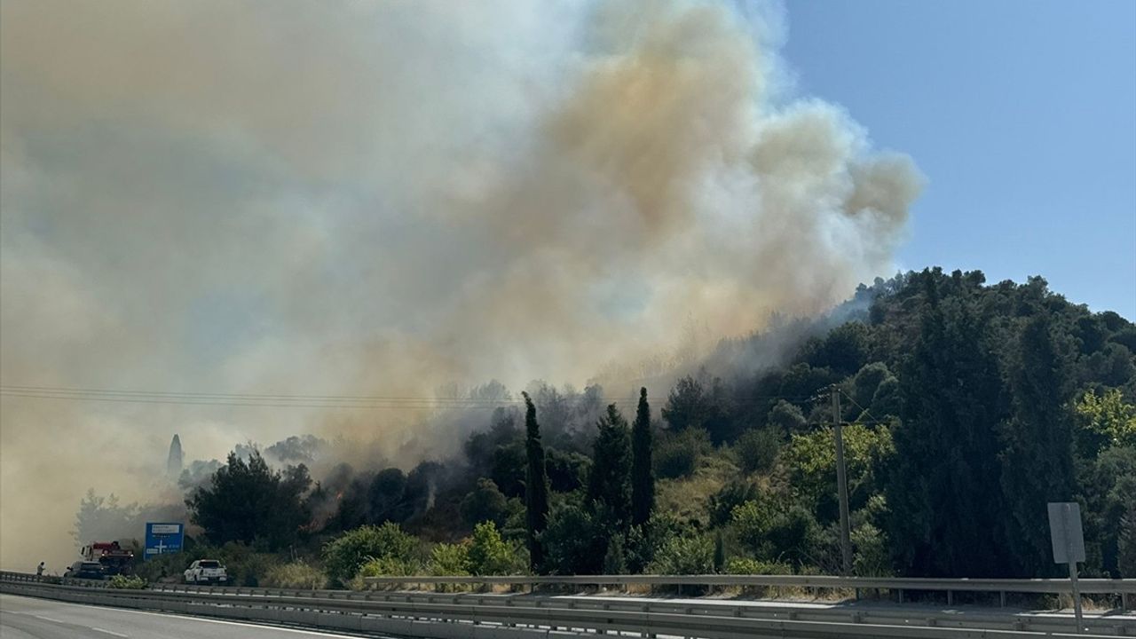 Aydın'daki Yangınlar Kontrol Altına Alındı: 82 Hektar Zarar Gördü