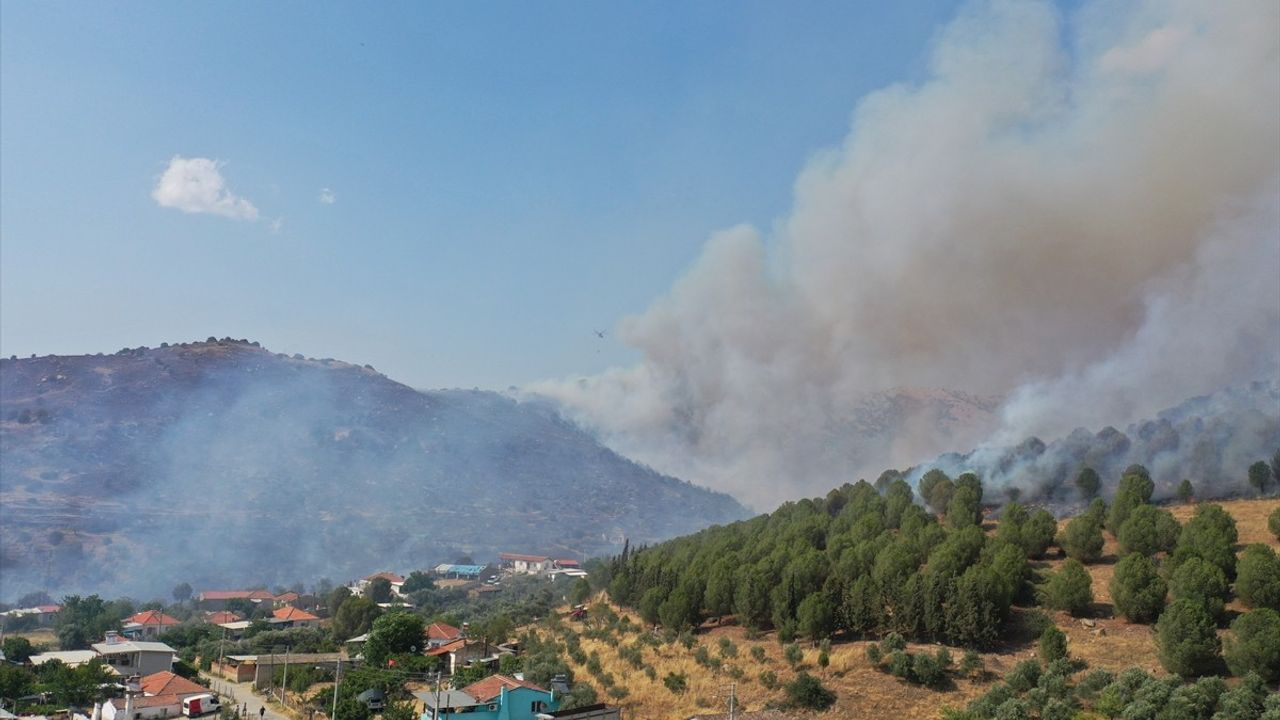 Aydın'da Ziraat Alanında Yangın: Havadan ve Karadan Müdahale Devam Ediyor