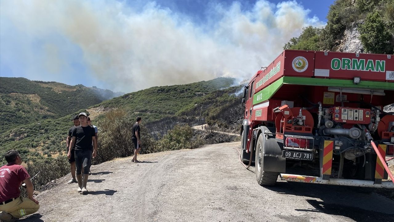 Aydın'da Ziraat Yangını Ormana Sıçradı