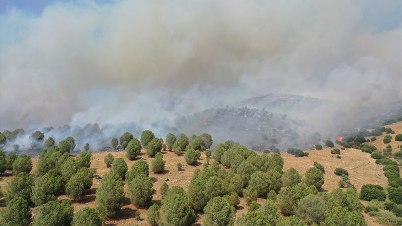 Aydın'daki Yangına Hızla Müdahale Ediliyor