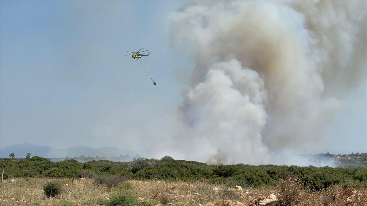 Aydın Didim'de Makilik Alanda Yangın Çıktı