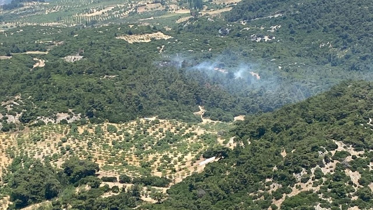 Aydın'ın Germencik İlçesinde Orman Yangını Başladı