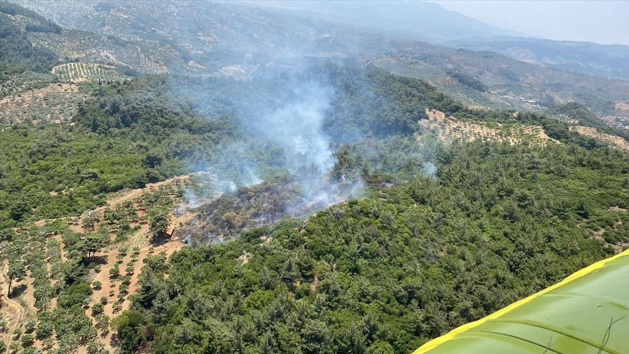 Aydın'ın Germencik İlçesindeki Orman Yangını Kontrol Altına Alındı