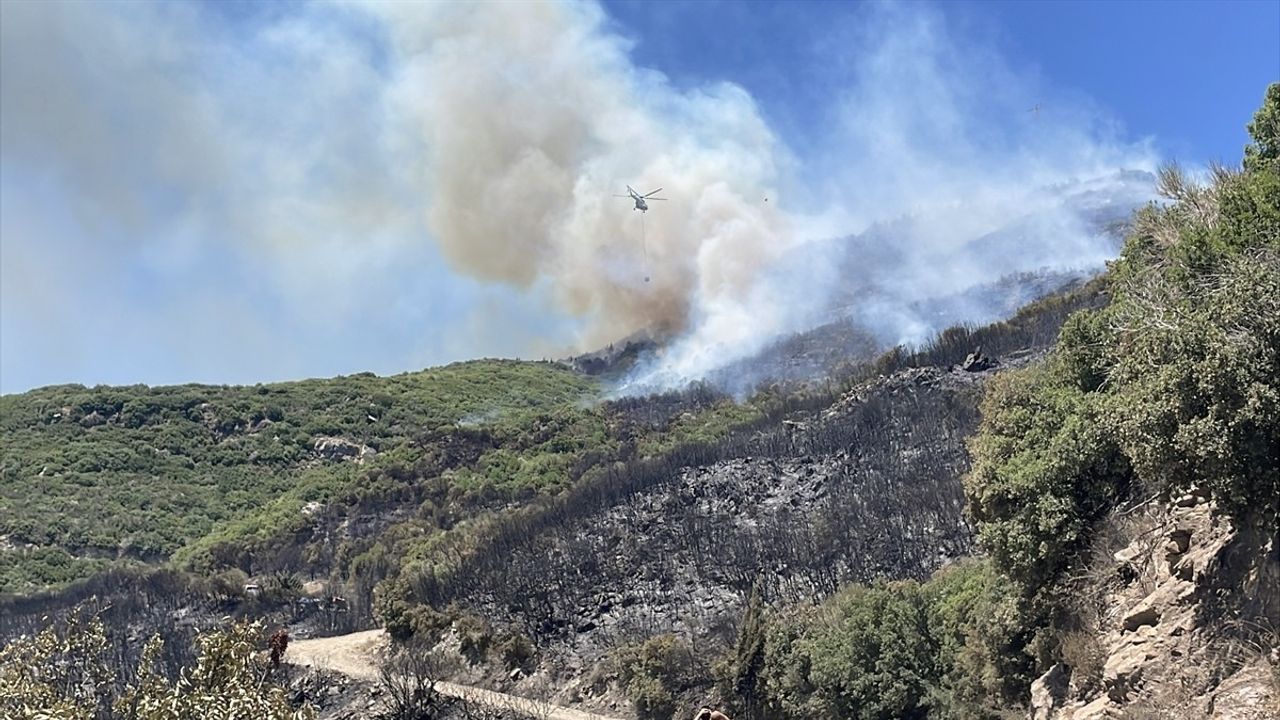 Aydın Sultanhisar'da Ziraat Alanında Yangın Çıktı