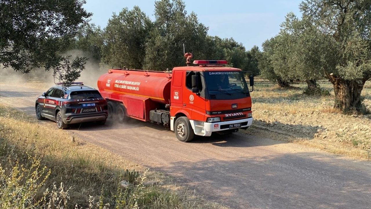 Ayvalık'ta Zeytinlik Alanda Yangın: Hızla Mücadele Ediliyor