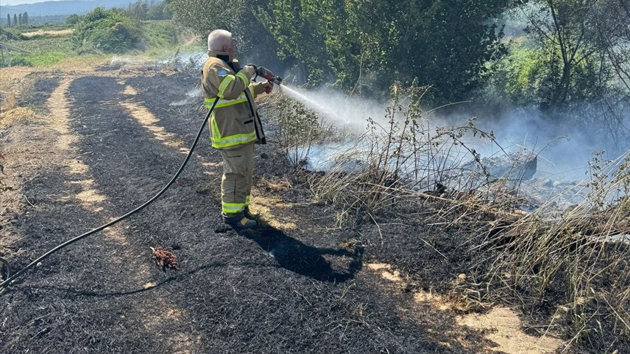 Balıkesir'de 12 Dekar Arpa Tarlasını Kül Eden Yangın Kontrol Altında