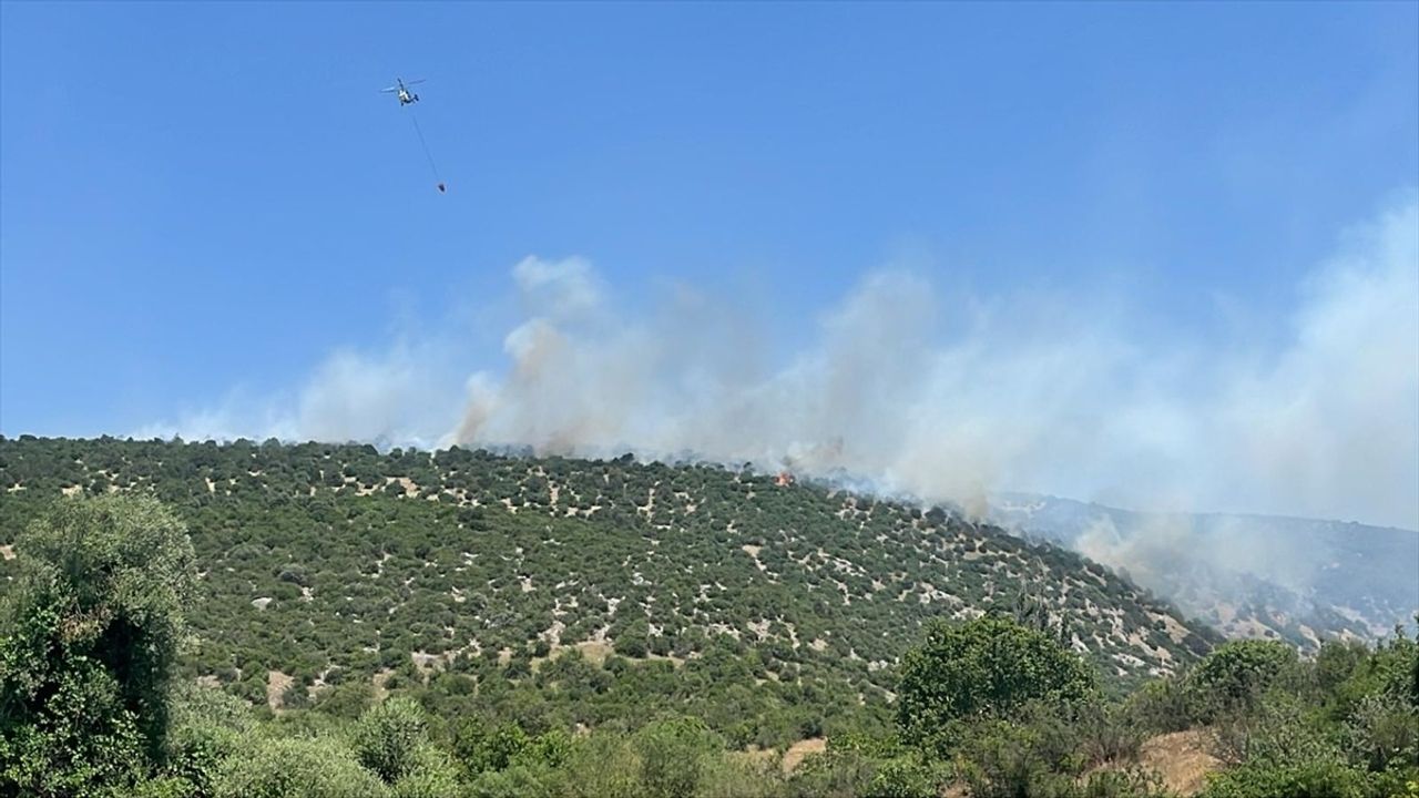 Balıkesir'de Arazide Yangın: Havadan ve Karadan Müdahale Devam Ediyor