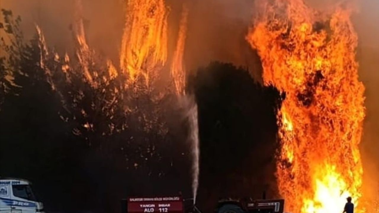 Balıkesir'de Dört İlçede Yangınlara Hızla Müdahale Ediliyor