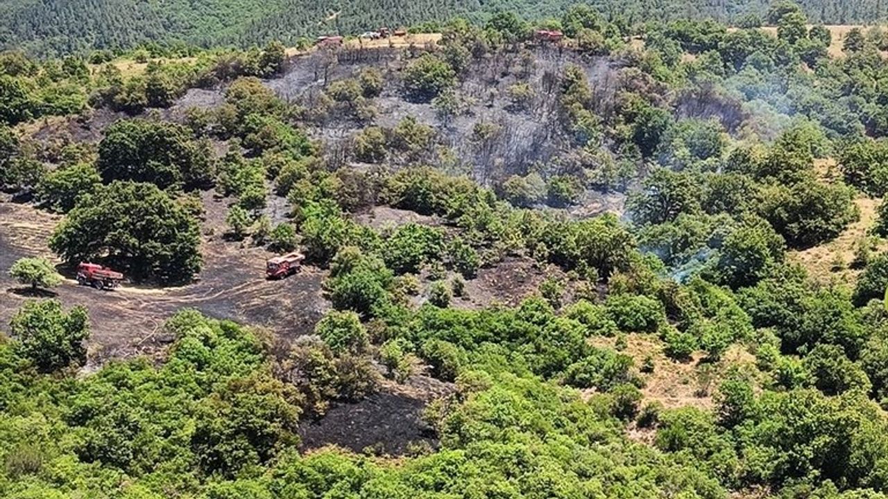 Balıkesir'de Orman Yangınına Acil Müdahale Başlatıldı