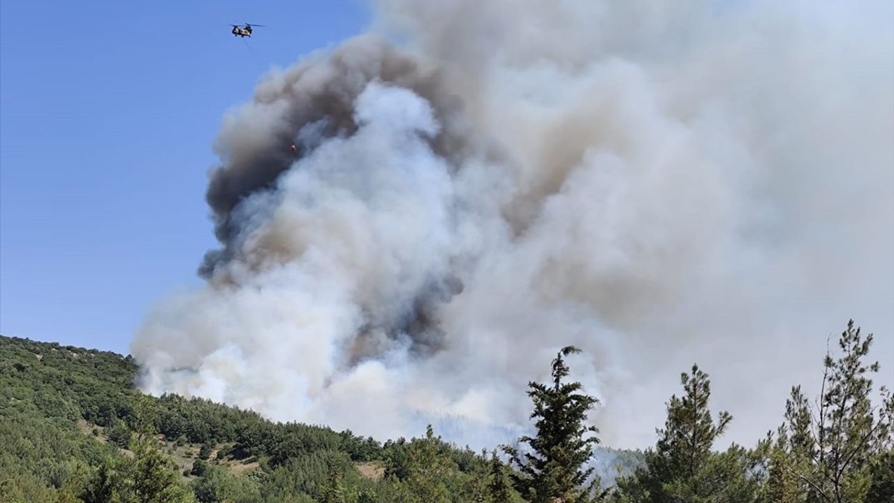 Balıkesir'de Orman Yangınına Hızlı Müdahale