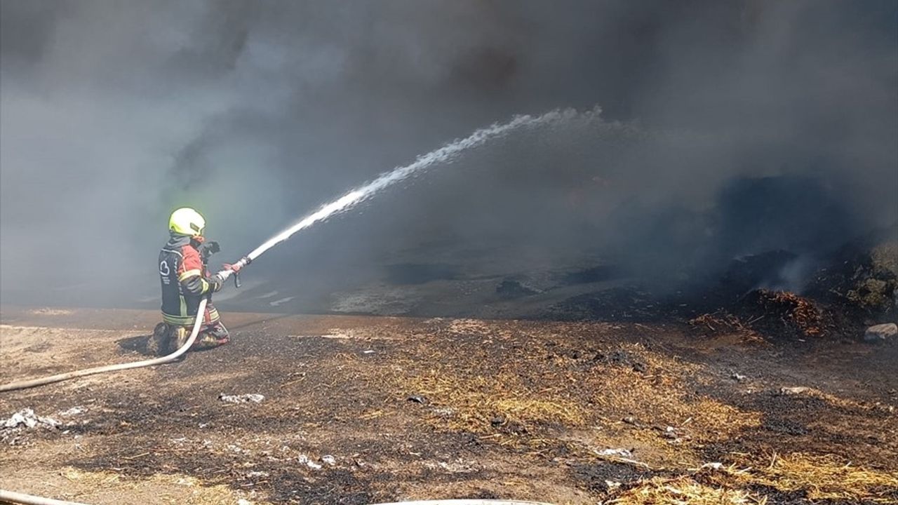 Balıkesir'de Tarım İşletmesindeki Yangın Kontrol Altına Alındı