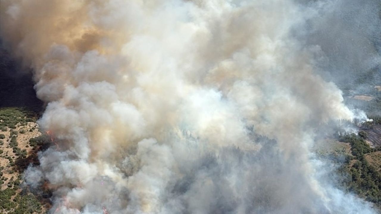 Balıkesir'deki Orman Yangınları: 5 Kişi Gözaltında