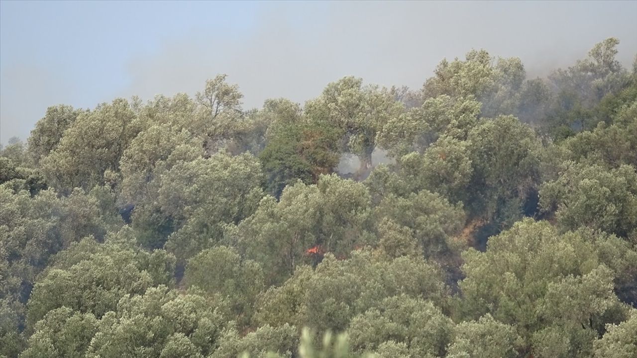 Balıkesir'deki Zeytinlik Yangını Kontrol Altına Alındı