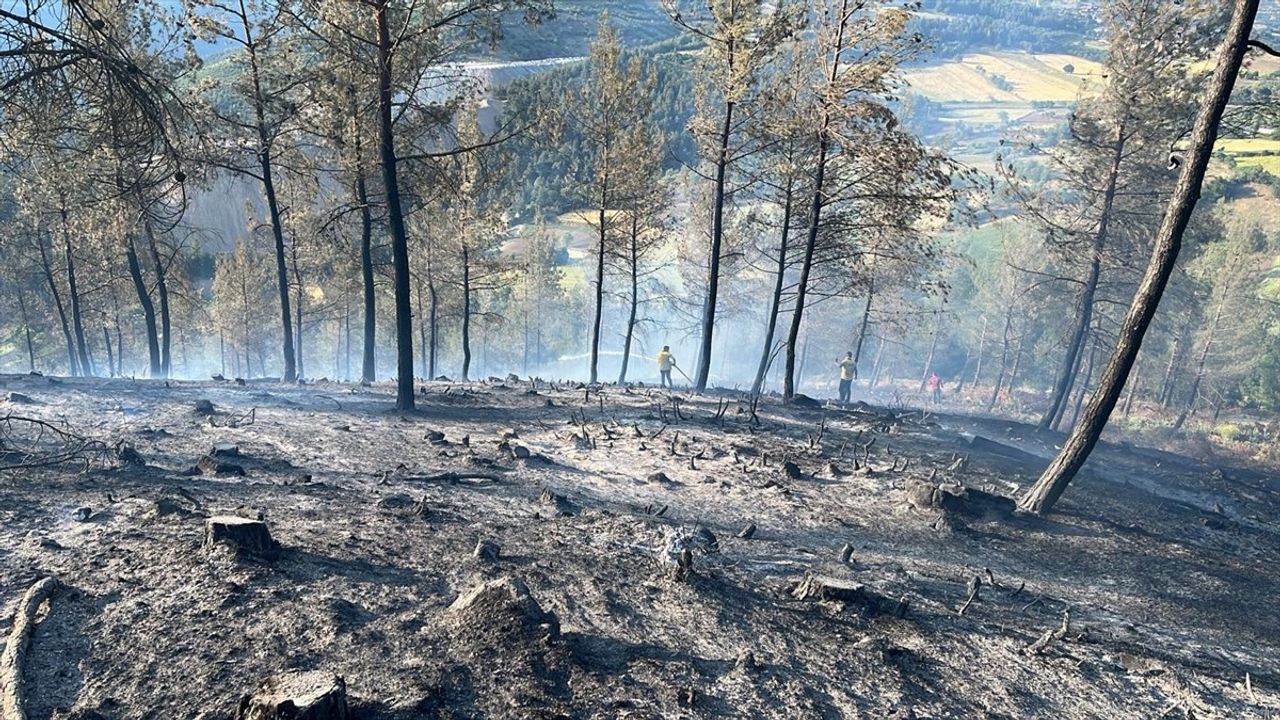 Balıkesir Dursunbey'de Orman Yangını Kontrol Altına Alınıyor