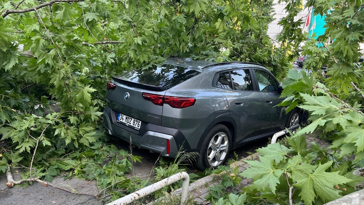 Beşiktaş'ta Yaşanan Ağaç Devrilmesi Üç Aracın Hasar Görmesine Neden Oldu