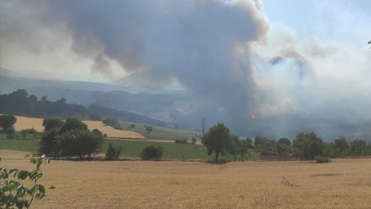Bilecik Gölpazarı'nda Orman Yangınına Hızlı Müdahale