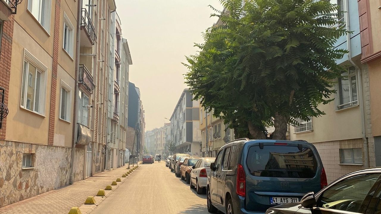 Bilecik Orman Yangını Dumanı Eskişehir'e Ulaştı