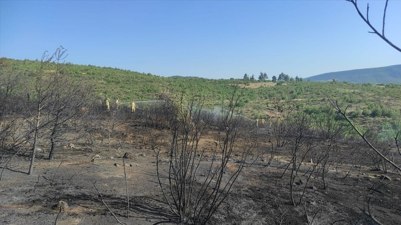 Bilecik'te Buğday Tarlasından Ormana Sıçrayan Yangın Kontrol Altına Alındı