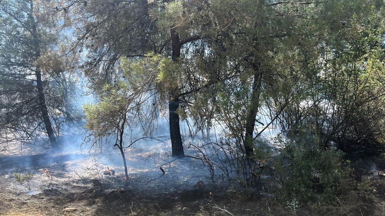 Bilecik'te Ormanlık Alan ve Buğday Tarlasında Yangın Kontrol Altına Alındı