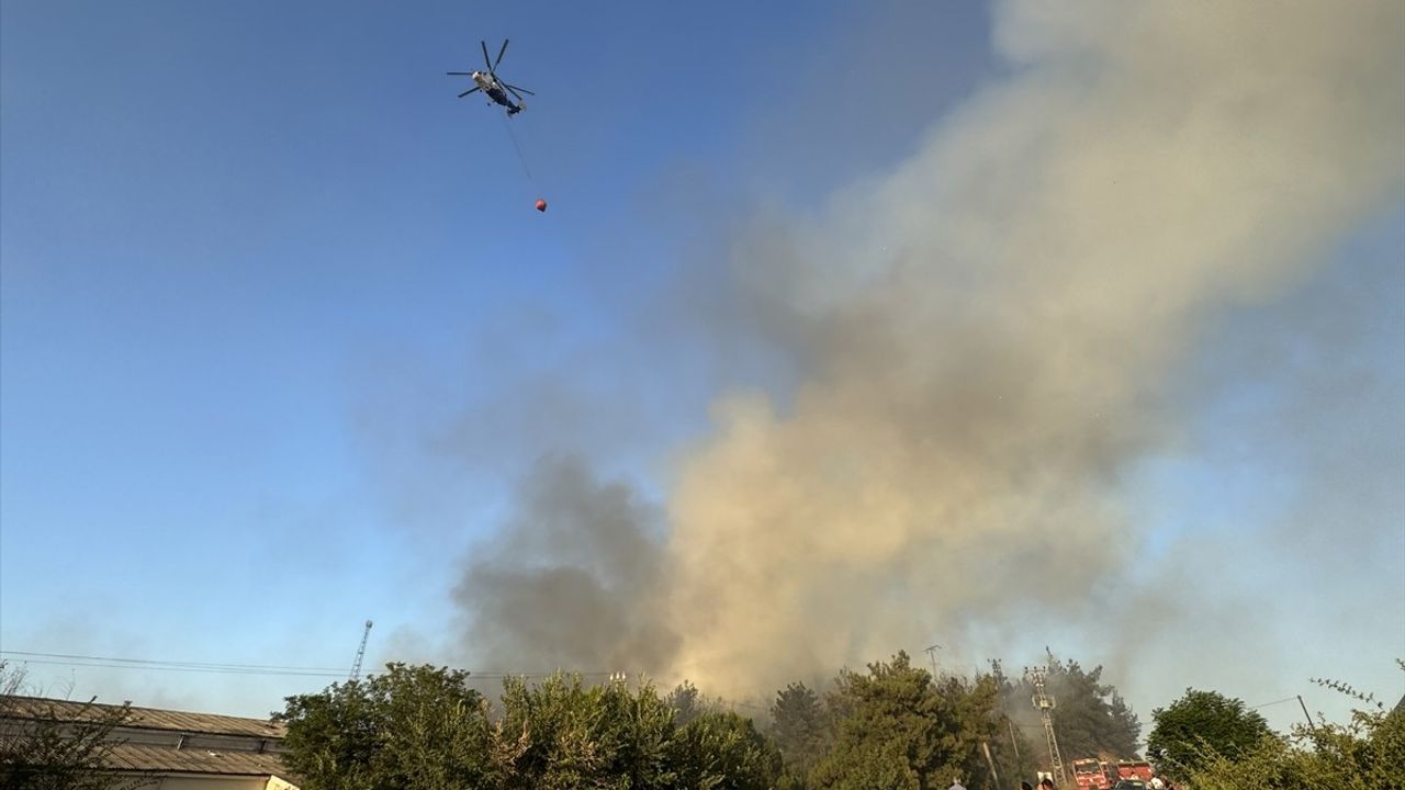 Bilecik'teki Orman Yangınına Hızla Müdahale Ediliyor