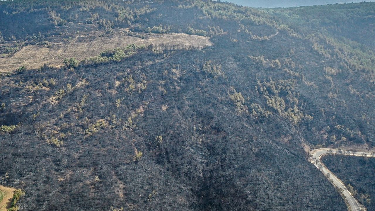 Bilecik'teki Orman Yangınında Zarar Gören Alanlar Dronla Görüntülendi
