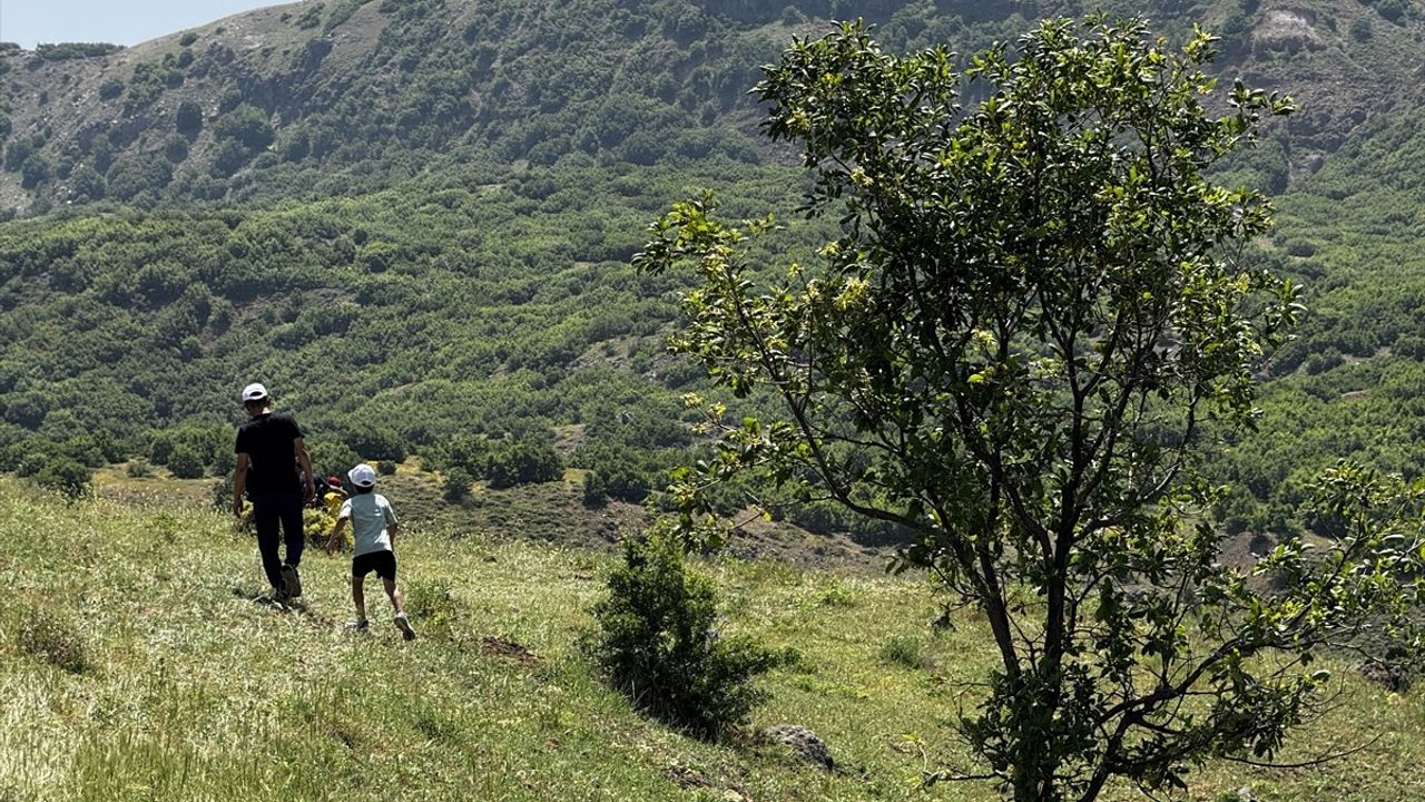 Bingöl'de Babalar Günü'ne Özel Doğa Kampı Düzenlendi
