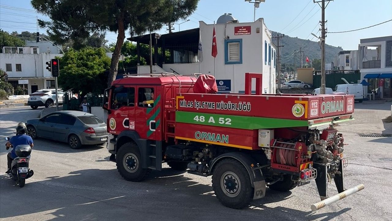 Bodrum'da Makilik Alanda Yangın Kontrol Altına Alındı