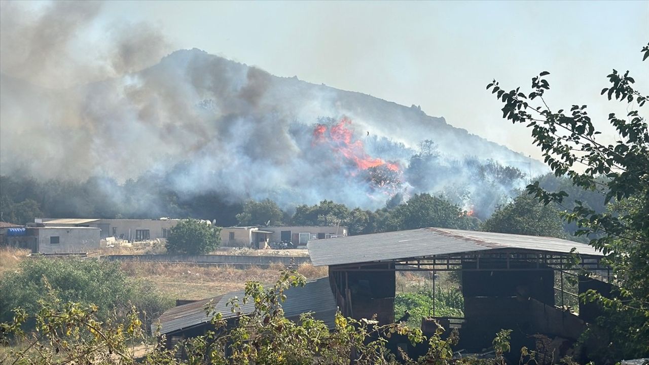 Bodrum'da Makilik Alanda Yangın: Müdahale Başladı