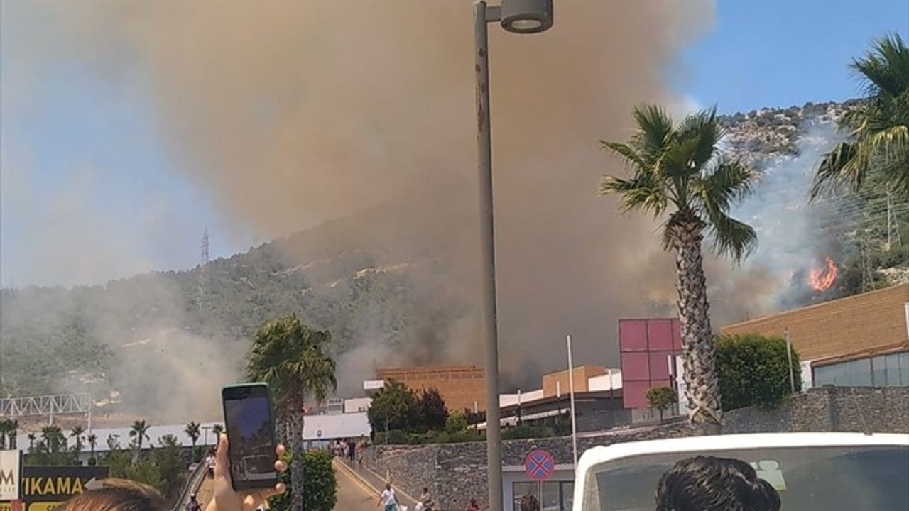 Bodrum'da Orman Yangını: Havadan ve Karlardan Müdahale Devam Ediyor