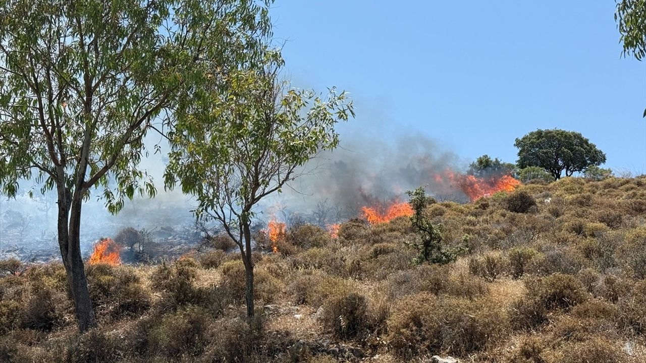 Bodrum'da Otluk ve Makilik Alandaki Yangına Hızlı Müdahale