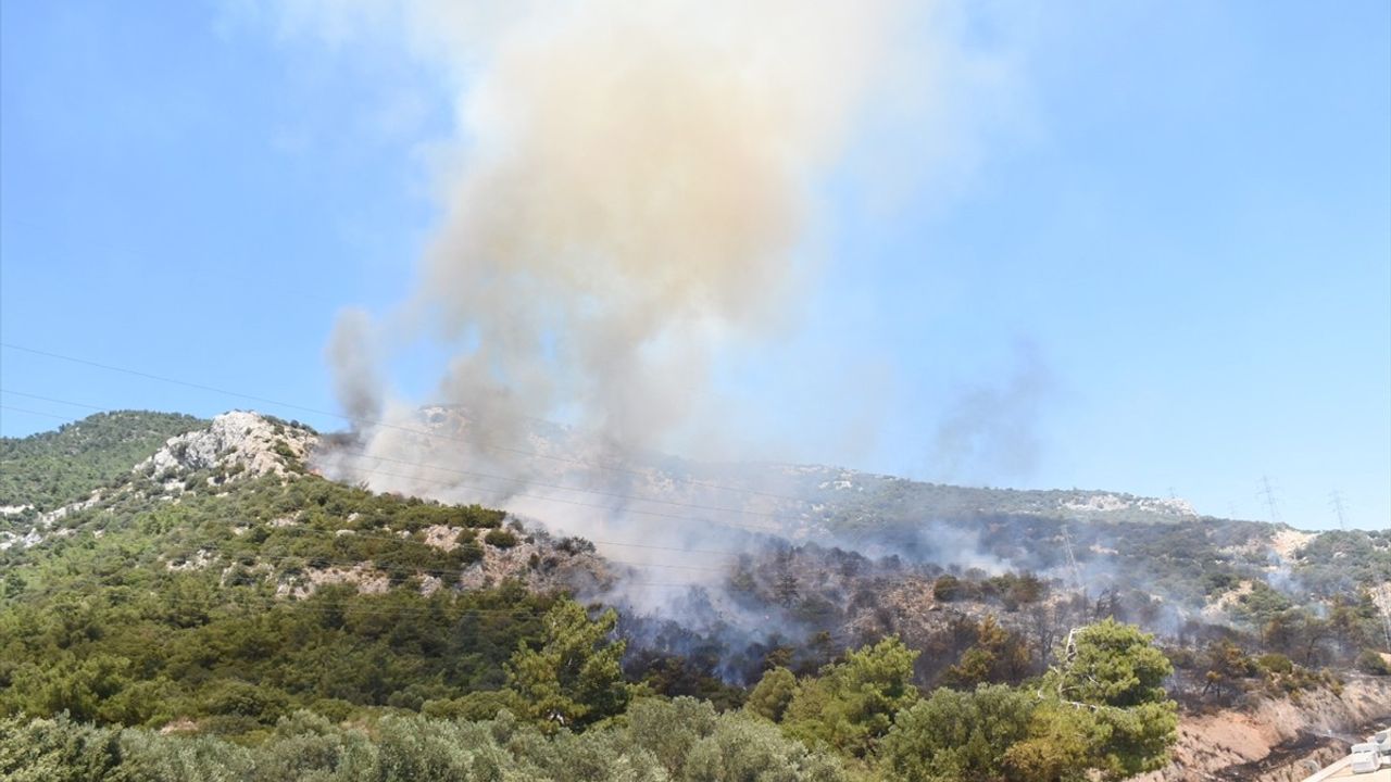 Bodrum'daki Orman Yangınına Hızlı Müdahale Başladı