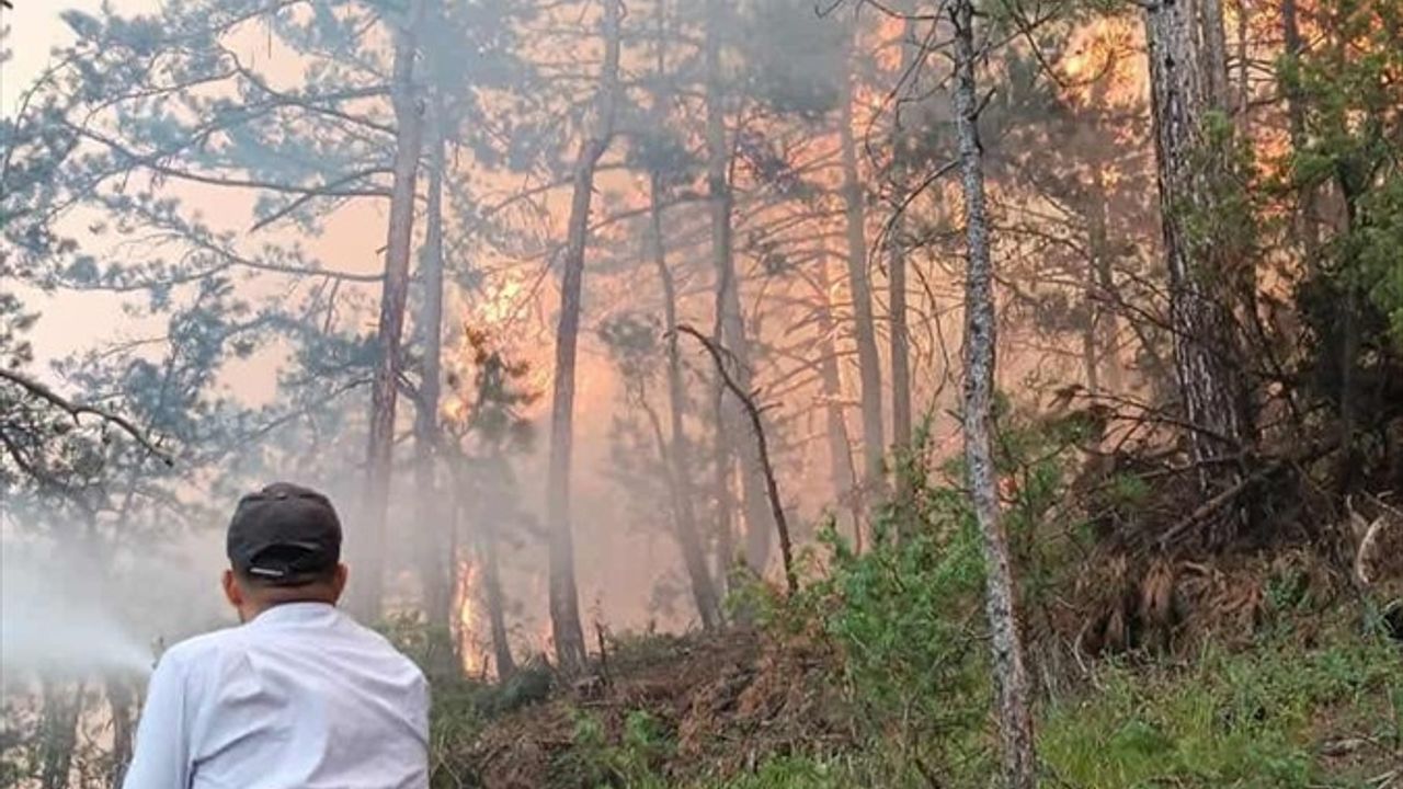 Bolu Göynük'te Orman Yangınına Hızla Müdahale Ediliyor