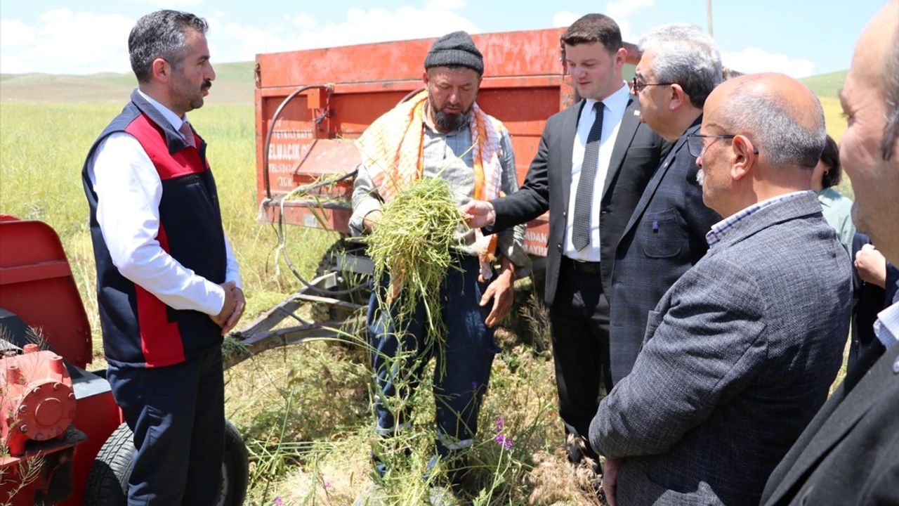 Burdur'da Kuraklığa Dayanıklı Yem Bitkisi Hasat Edildi