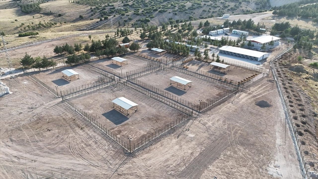 Burdur'da Sahipsiz Hayvanlar için Yeni Yaşam Alanı